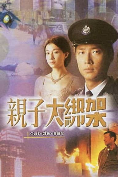 亲子大绑架 (2003) 1080P 粤语 内嵌简繁字幕 描述：该片讲述富商沉志良之子与股坛狙击手郭伟峰之子同遭绑架，重案组警员宋嘉辉（马浚伟饰）调查发...