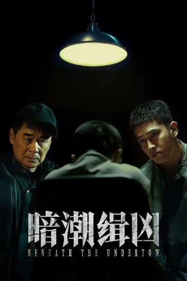 暗潮缉凶 更至14/19集 [2025]