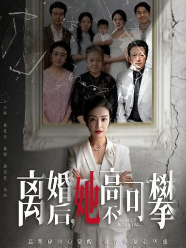 离婚后她高不可攀＆至亲之人伤我最深（67集）岳子龙＆刘超|短剧