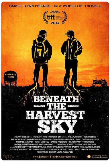收获的天空下 Beneath the Harvest Sky (2013) 1080p 原盘Remux 中文字幕 【17.66GB】已刮削