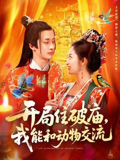 开局住破庙我能和动物交流 (95集) 王泊渊&崔馨心 | 短剧