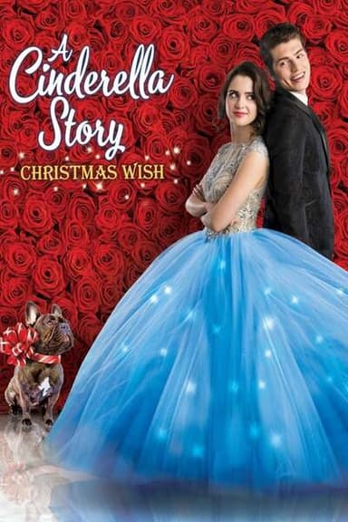 灰姑娘的故事圣诞愿望 A Cinderella Story: Christmas Wish (2019) 1080p 原盘Remux 中文字幕 【14.76GB】已刮削