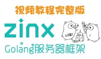 Zinx-Golang轻量级TCP服务器框架 - 带源码课件
