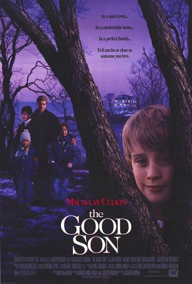 危险小天使 The Good Son (1993) 1080p 原盘Remux 中文字幕 【19.01GB】已刮削