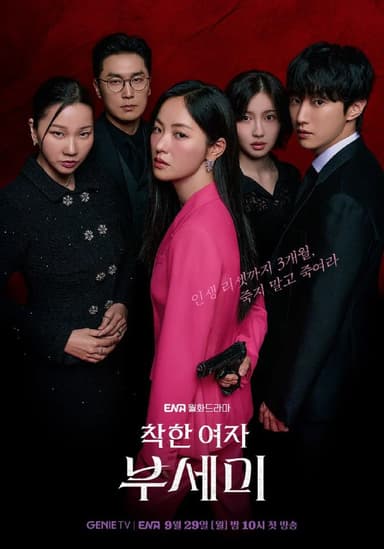 善良的女人夫世美！ 착한여자 부세미！ (2025) [1080P] [内封简繁] [更至10集]