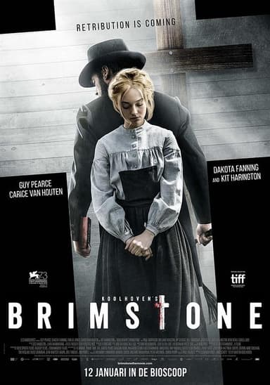 悍女 Brimstone (2016) 4K/2160p 原盘Remux 中文字幕 【76.72GB】已刮削