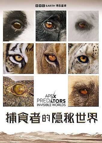 捕食者的隐秘世界 (2024) 4K 高码 全集 国英多音轨 中英硬字幕