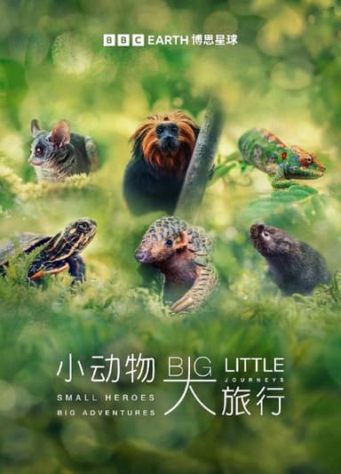 小动物 大旅行 第一季 Big Little Journeys Season 1 (2023)