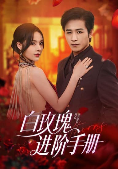 白玫瑰进阶手册（64集）古铭瀚＆赵西  /最新 短剧