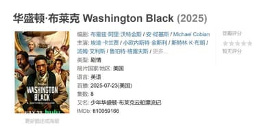 华盛顿·布莱克 Washington Black (2025)
