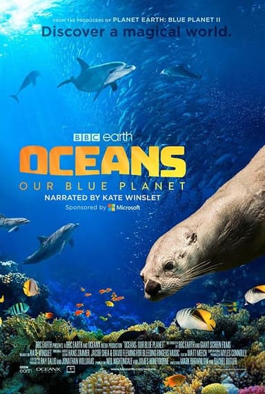 海洋：我们的蓝色星球 Oceans: Our Blue Planet (2018) 4K/2160p 原盘Remux 中文字幕 【17.27GB】已刮削