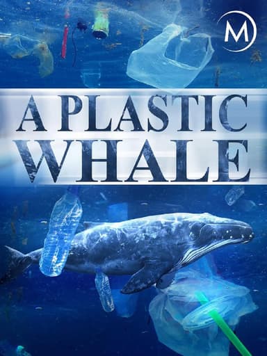 塑料鲸鱼 A Plastic Whale (2017)