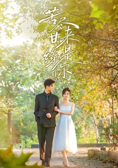 2025年12月10日 短剧合集目录6