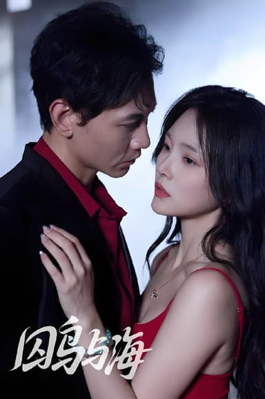 囚鸟与海 (51集) 苗雨峤&徐菡琳 | 短剧