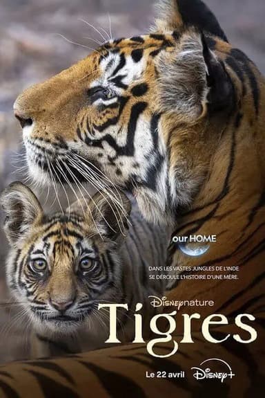 老虎 (2024) 4K HDR & Dv 中字内嵌字幕