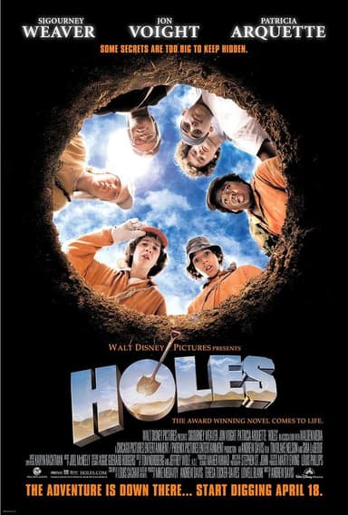 别有洞天 Holes (2003) 1080p 原盘Remux 【32.25GB】已刮削