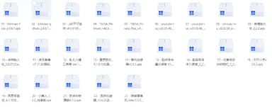 破解软件20251121