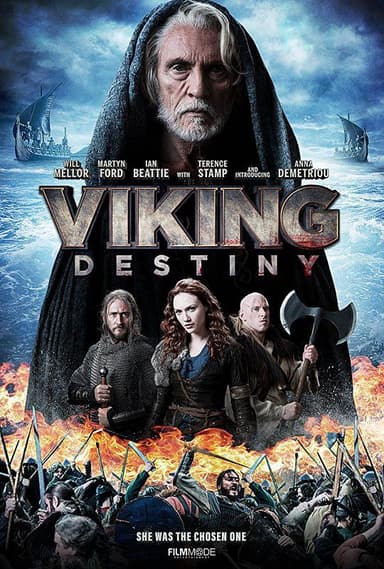 维京命运 Viking Destiny (2018) 1080p 原盘Remux 中文字幕 【14.84GB】已刮削