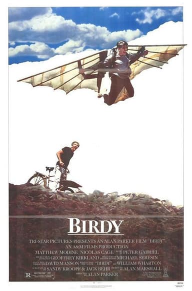 鸟人 Birdy (1984) 1080p 原盘Remux 中文字幕 【21.15GB】已刮削