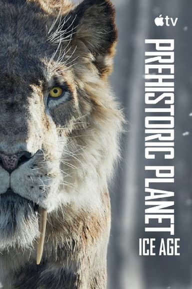 史前星球 第三季冰川时代 Prehistoric Planet: Ice Age (2025) 旁白汤姆·希德勒斯顿  5集全，内嵌中英字幕 【纪录剧集】