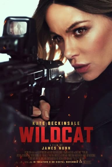 限时营救 Wildcat (2025)