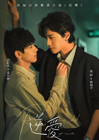 逆爱 (24集) BL剧 | 国产剧