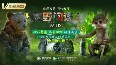 荒野间谍 第二季 Spy in the Wild Season 2 (2020)