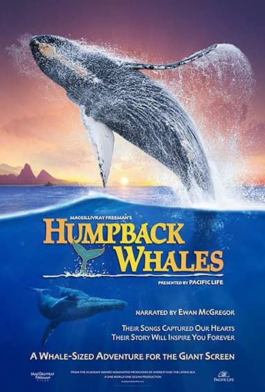 座头鲸 Humpback Whales (2015) 4K/2160p 原盘Remux 中文字幕 【17.35GB】已刮削