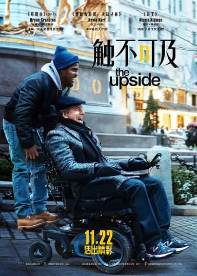 触不可及(美版) The Upside (2019) 1080p 原盘Remux 中文字幕 【20.25GB】已刮削