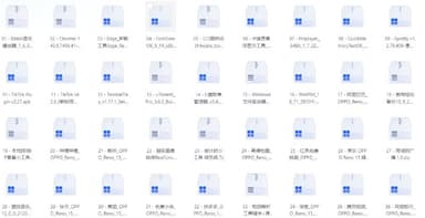 破解软件20251206