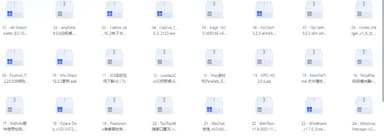 破解软件20251209