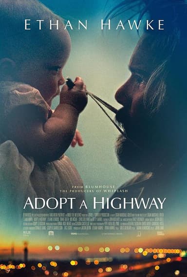 捡来的孩子 Adopt a Highway (2019) 1080p 原盘Remux 中文字幕 【13.68GB】已刮削
