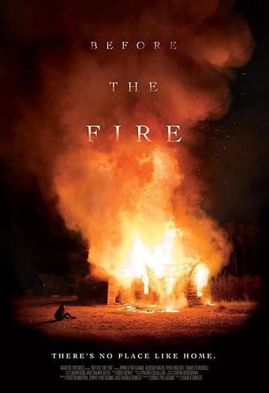 烈火之前 Before the Fire (2020) 1080p 原盘Remux 【17.42GB】已刮削