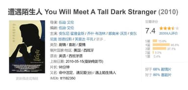 遭遇陌生人 You Will Meet A Tall Dark Stranger (2010)