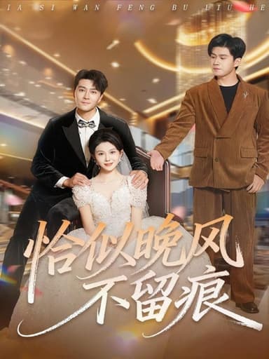 恰似晚风不留痕 (61集) 田不凡&孔莹莹 | 短剧