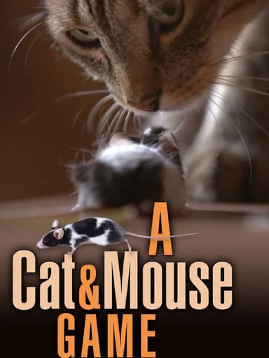 猫鼠游戏 A Cat and Mouse Game (2019)