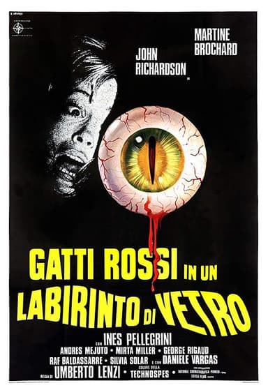 眼球 Gatti rossi in un labirinto di vetro (1975) 1080p 原盘Remux 中文字幕 【23.91GB】已刮削