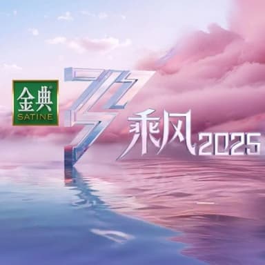 乘风2025 (2025) 包含前四季