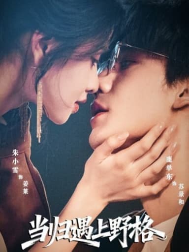 当归遇上野格（66集）鹿单东＆朱小雪|短剧