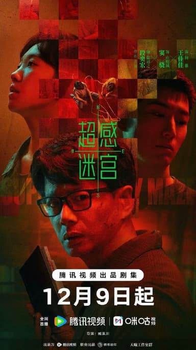 超感迷宫 (2025) 第1-3集【1080P 无广告无台标无字幕 段奕宏/窦骁/王佳佳】