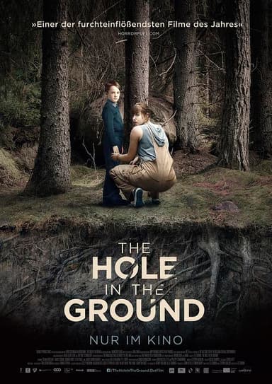 地面之洞 The Hole in the Ground (2019) 1080p 原盘Remux 【23.97GB】已刮削