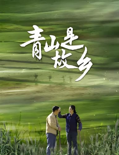 青山是故乡 (29集) 褚栓忠 | 国产剧