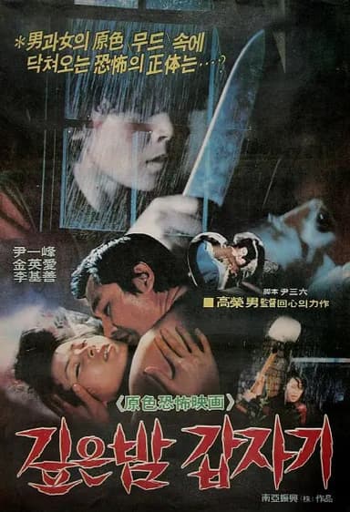 午夜凶杀 깊은밤 갑자기 (1981)